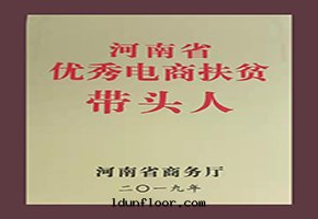 河(hé)南省(shěng)优秀電(diàn)商扶貧带(dài)头(tóu)人(rén)